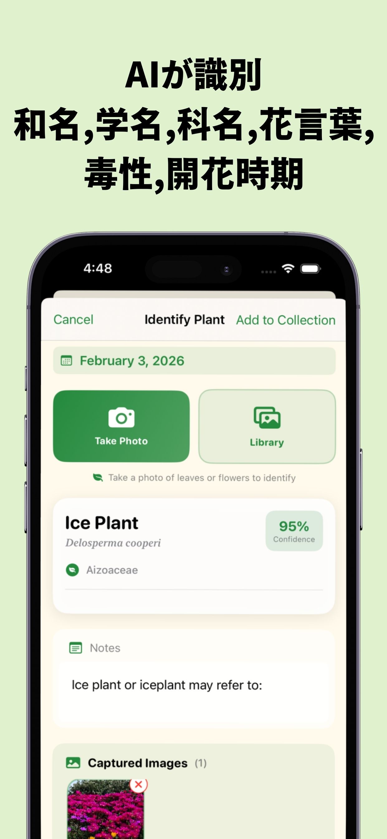 AIが識別 和名,学名,科名,花言葉,毒性,開花時期